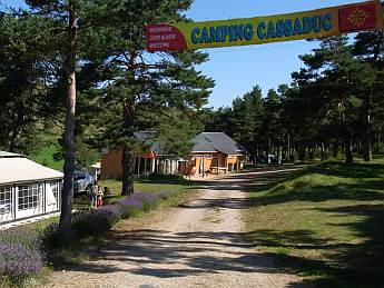 l'entrée du camping